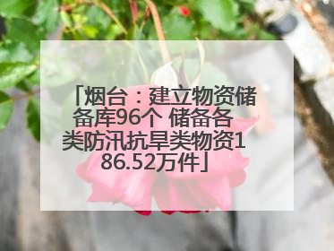 烟台：建立物资储备库96个 储备各类防汛抗旱类物资186.52万件
