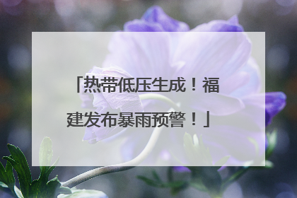 热带低压生成！福建发布暴雨预警！