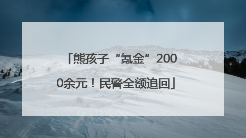 熊孩子“氪金”2000余元！民警全额追回