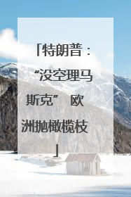 特朗普：“没空理马斯克” 欧洲抛橄榄枝