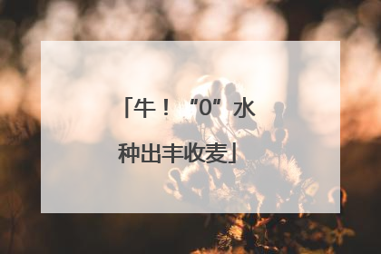 牛！“0”水种出丰收麦