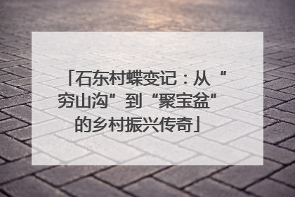 石东村蝶变记：从“穷山沟”到“聚宝盆”的乡村振兴传奇