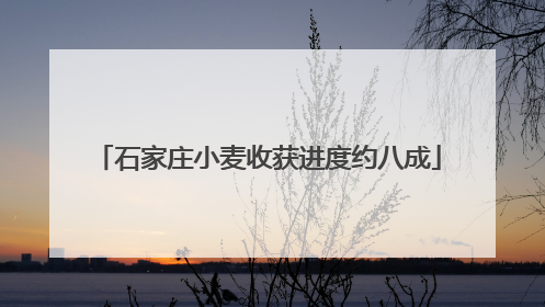 石家庄小麦收获进度约八成