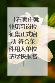 石家庄就业见习岗位征集正式启动 符合条件用人单位请尽快报名