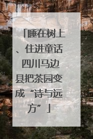 睡在树上、住进童话 四川马边县把茶园变成“诗与远方”