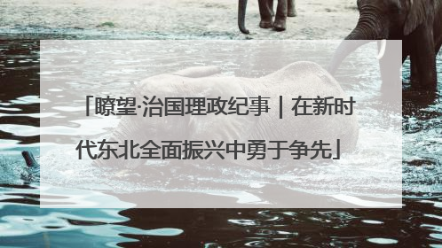 瞭望·治国理政纪事｜在新时代东北全面振兴中勇于争先