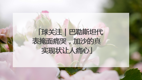 球关注｜巴勒斯坦代表掩面痛哭，加沙的真实现状让人痛心