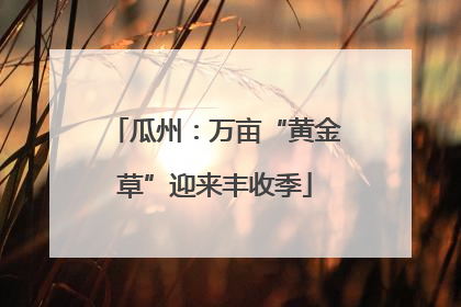 瓜州：万亩“黄金草”迎来丰收季