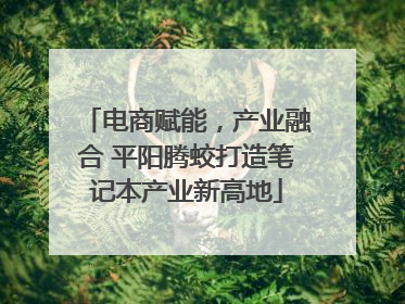 电商赋能，产业融合 平阳腾蛟打造笔记本产业新高地