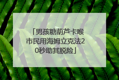 男孩糖葫芦卡喉 市民用海姆立克法20秒助其脱险