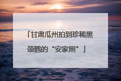 甘肃瓜州拍到珍稀黑颈鹤的“安家照”