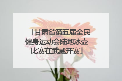 甘肃省第五届全民健身运动会陆地冰壶比赛在武威开赛
