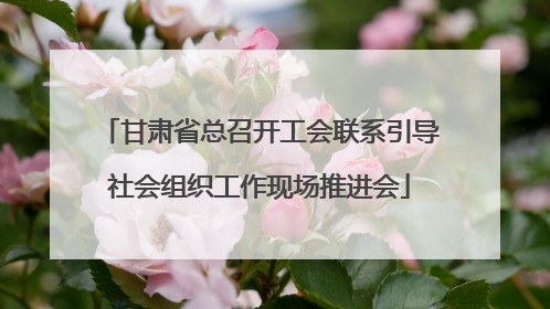 甘肃省总召开工会联系引导社会组织工作现场推进会