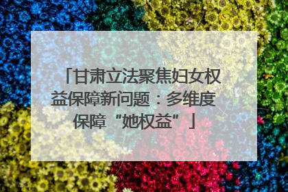 甘肃立法聚焦妇女权益保障新问题：多维度保障“她权益”