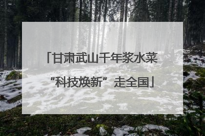 甘肃武山千年浆水菜“科技焕新”走全国