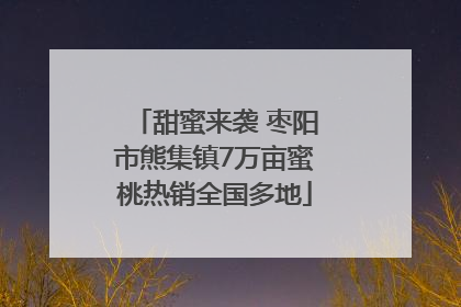 甜蜜来袭 枣阳市熊集镇7万亩蜜桃热销全国多地
