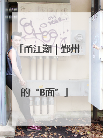 甬江潮｜鄞州的“B面”