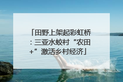 田野上架起彩虹桥：三亚水蛟村“农田+”激活乡村经济