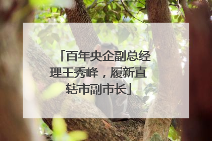 百年央企副总经理王秀峰，履新直辖市副市长