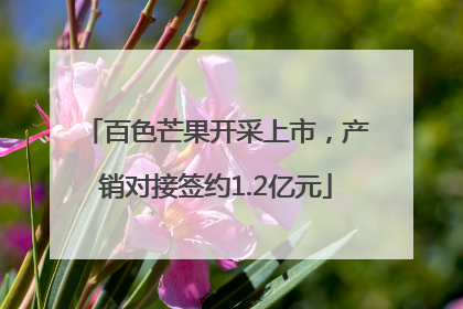 百色芒果开采上市，产销对接签约1.2亿元
