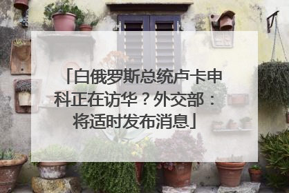 白俄罗斯总统卢卡申科正在访华？外交部：将适时发布消息