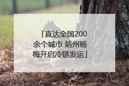 直达全国200余个城市 靖州杨梅开启冷链发运