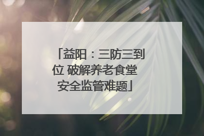 益阳：三防三到位 破解养老食堂安全监管难题