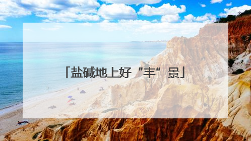 盐碱地上好“丰”景
