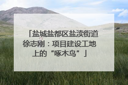 盐城盐都区盐渎街道徐志刚：项目建设工地上的“啄木鸟”