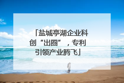 盐城亭湖企业科创“出圈”，专利引领产业腾飞