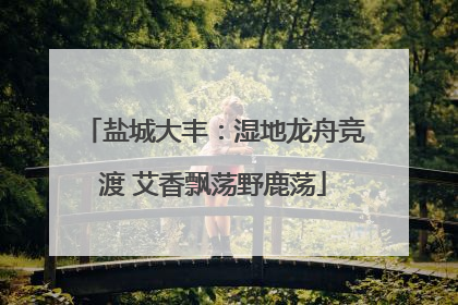 盐城大丰：湿地龙舟竞渡 艾香飘荡野鹿荡