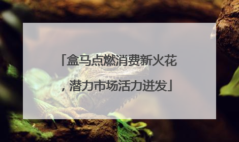 盒马点燃消费新火花，潜力市场活力迸发