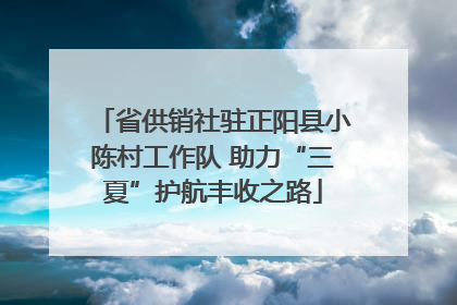 省供销社驻正阳县小陈村工作队 助力“三夏”护航丰收之路
