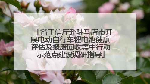 省工信厅赴驻马店市开展电动自行车锂电池健康评估及报废回收集中行动示范点建设调研指导