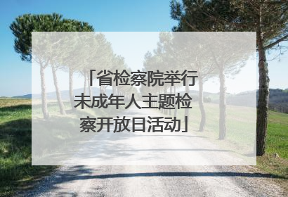 省检察院举行未成年人主题检察开放日活动