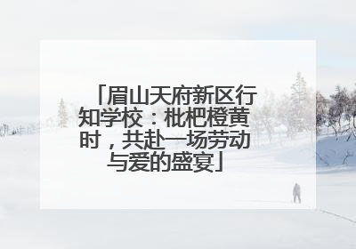 眉山天府新区行知学校：枇杷橙黄时，共赴一场劳动与爱的盛宴