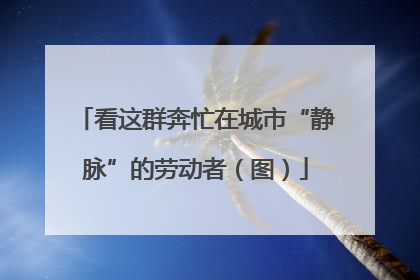 看这群奔忙在城市“静脉”的劳动者（图）