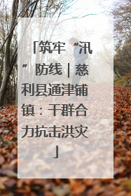 筑牢“汛”防线｜慈利县通津铺镇：干群合力抗击洪灾
