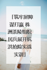 筑牢屏障谋打赢 株洲茶陵组织民兵展开抗洪抢险实战实训