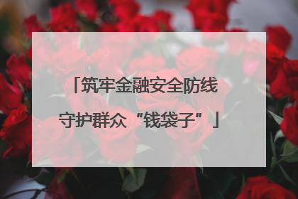 筑牢金融安全防线 守护群众“钱袋子”