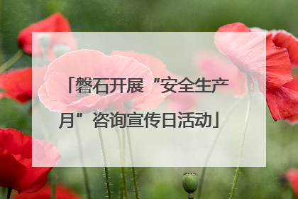 磐石开展“安全生产月”咨询宣传日活动