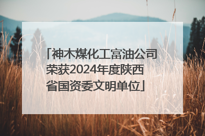 神木煤化工富油公司荣获2024年度陕西省国资委文明单位
