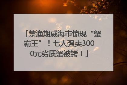 禁渔期威海市惊现“蟹霸王”！七人强卖3000元劣质蟹被铐！
