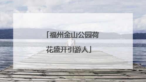福州金山公园荷花盛开引游人