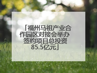 福州马祖产业合作园区对接会举办 签约项目总投资85.5亿元