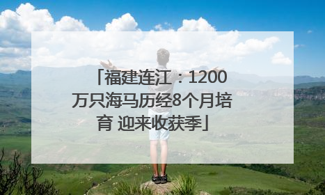 福建连江：1200万只海马历经8个月培育 迎来收获季