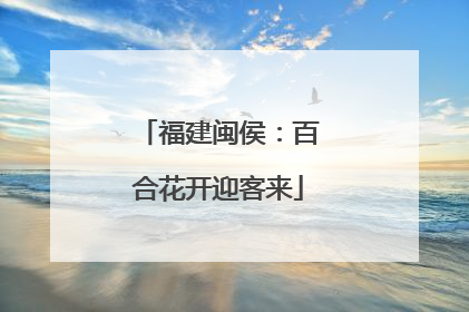 福建闽侯：百合花开迎客来