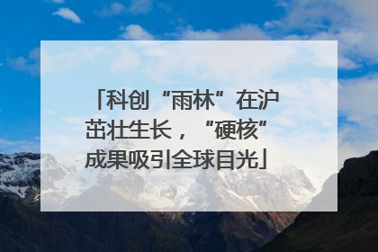 科创“雨林”在沪茁壮生长，“硬核”成果吸引全球目光
