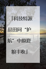 科技特派员田间“护航”中原夏粮丰收