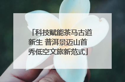 科技赋能茶马古道新生 普洱景迈山首秀低空文旅新范式